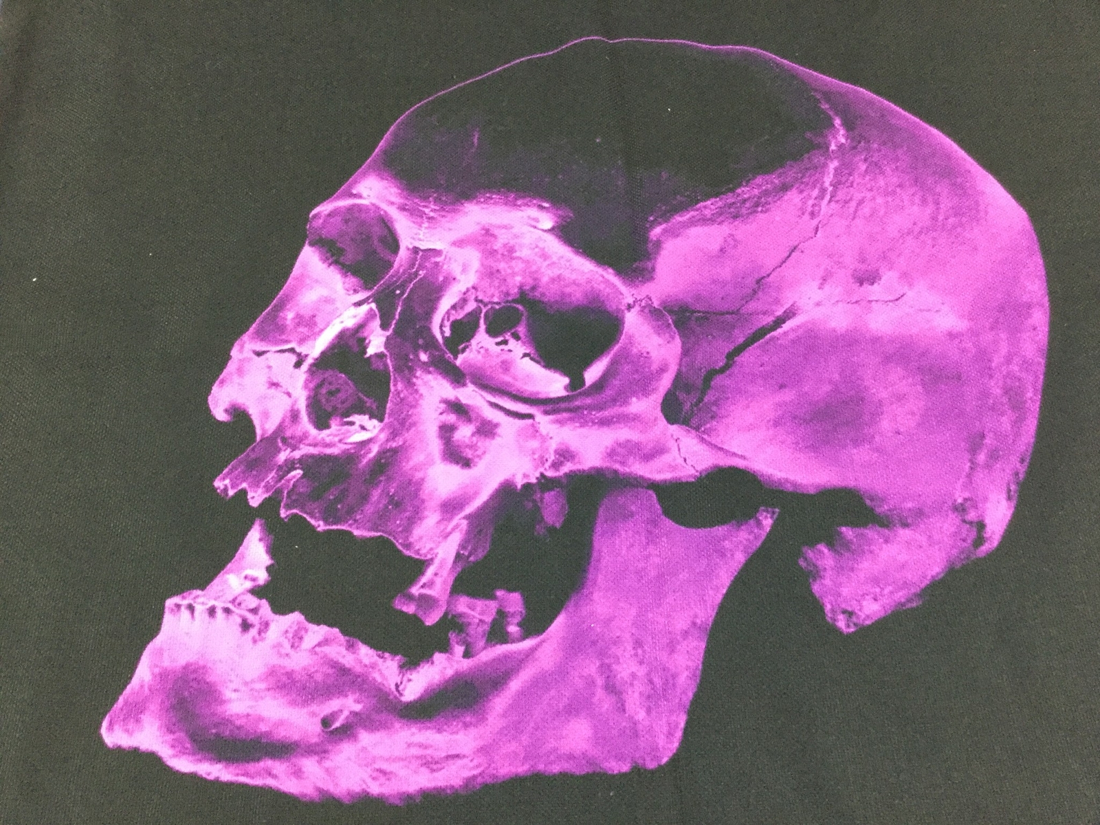 Halloween Skull Pillow Sham Euro 26x26 Black Purple Goth Polyester Twill USA New