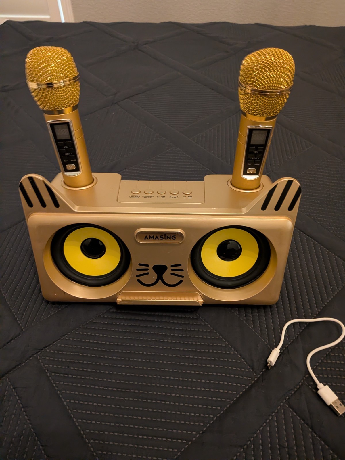 MASINGO Kitty Cat Karaoke Machine for Kids, Bluetooth Speakers, 2 Mic's/Tested