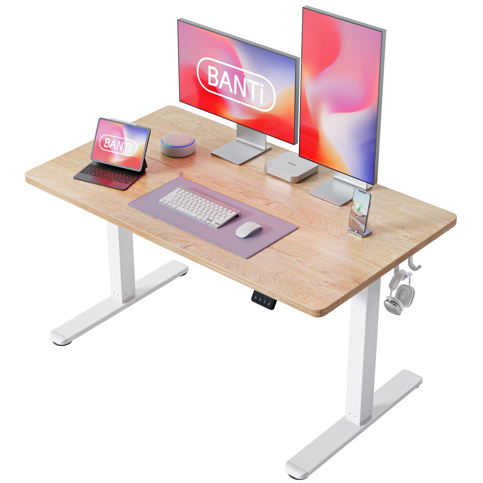 BANTI 48'' Standing Desk, Electric Stand up Height Adjustable Home Office Table,