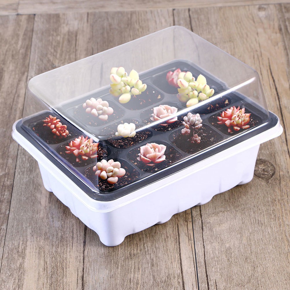 Multi Plastic Plant Starter Boxes for Home with Simple Structure Design 6 Pcs