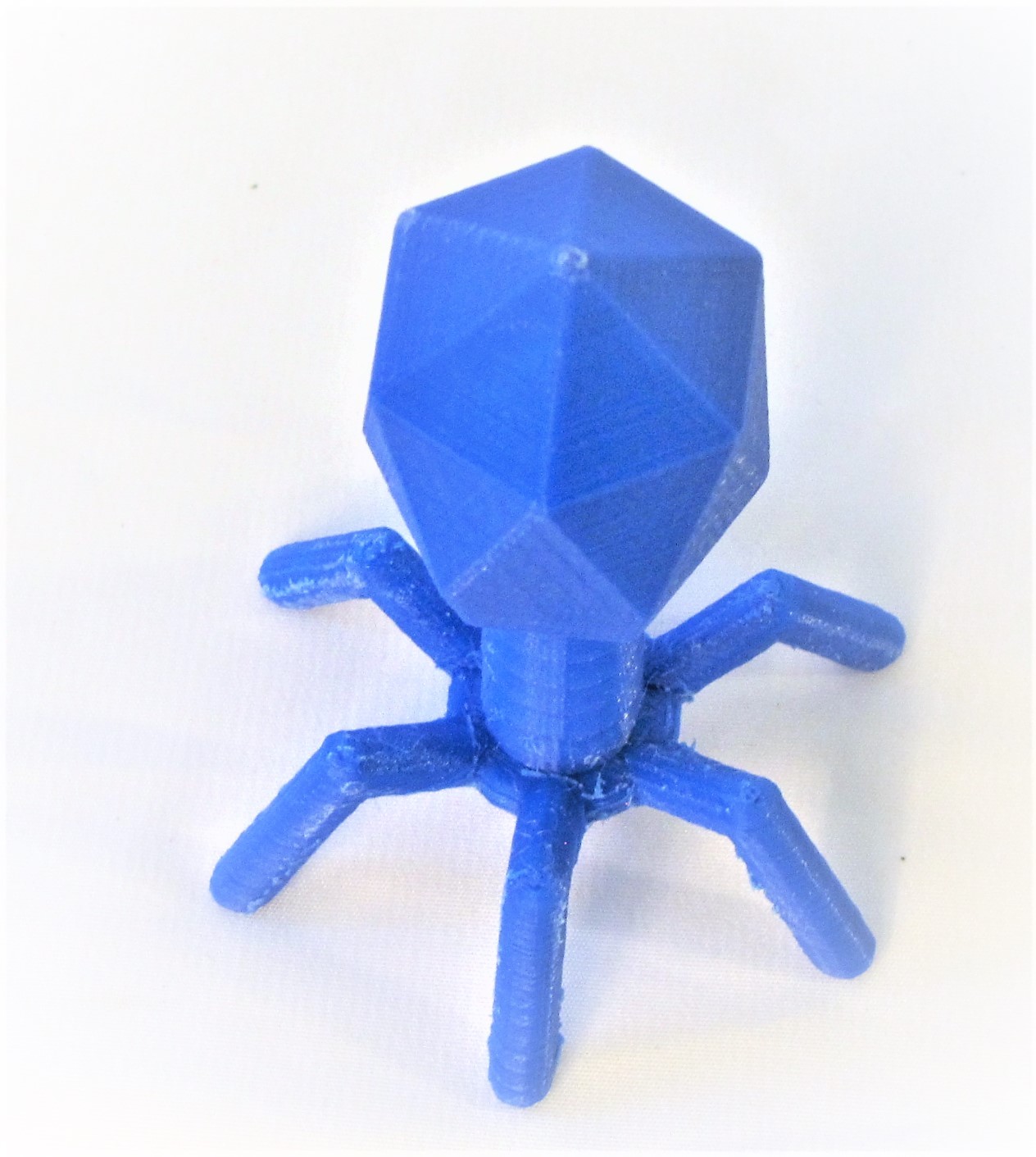 Virus Model Bacteriophage Phage Microbiology Science Education 8.5" Height Gift