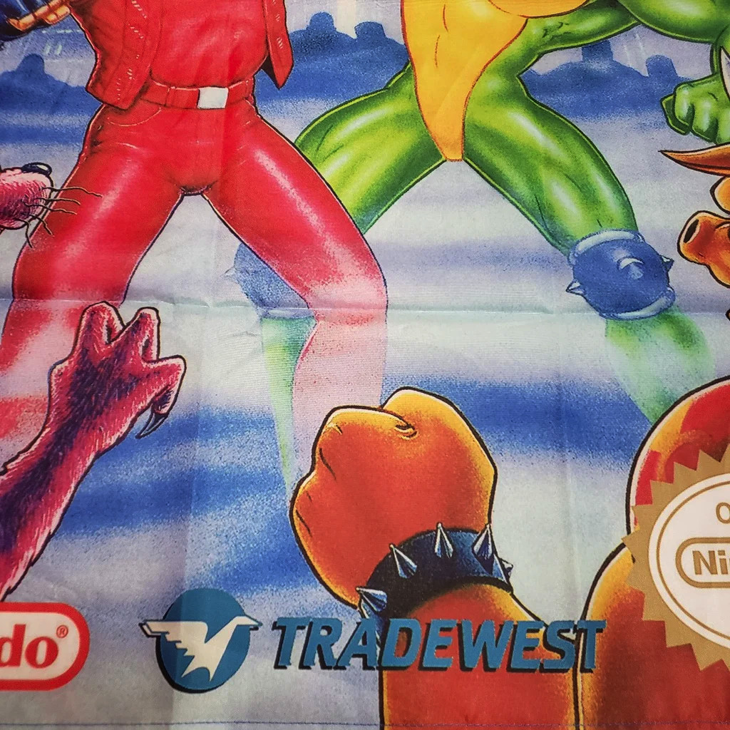 Battletoads Double Dragon Custom Wall Flag Banner Tapestry 2 x 3 Ft, NES