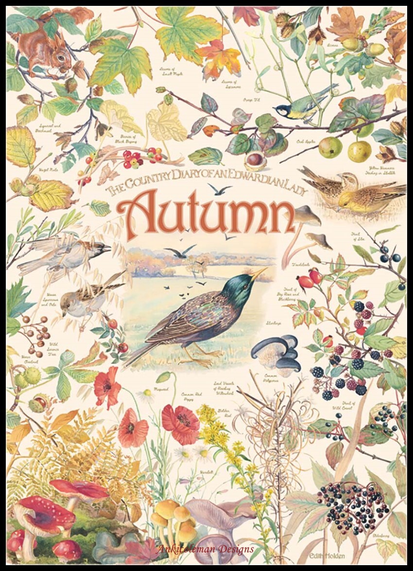 Country Diary Autumn - Chart Counted Cross Stitch Patterns Needlework DIY DMC