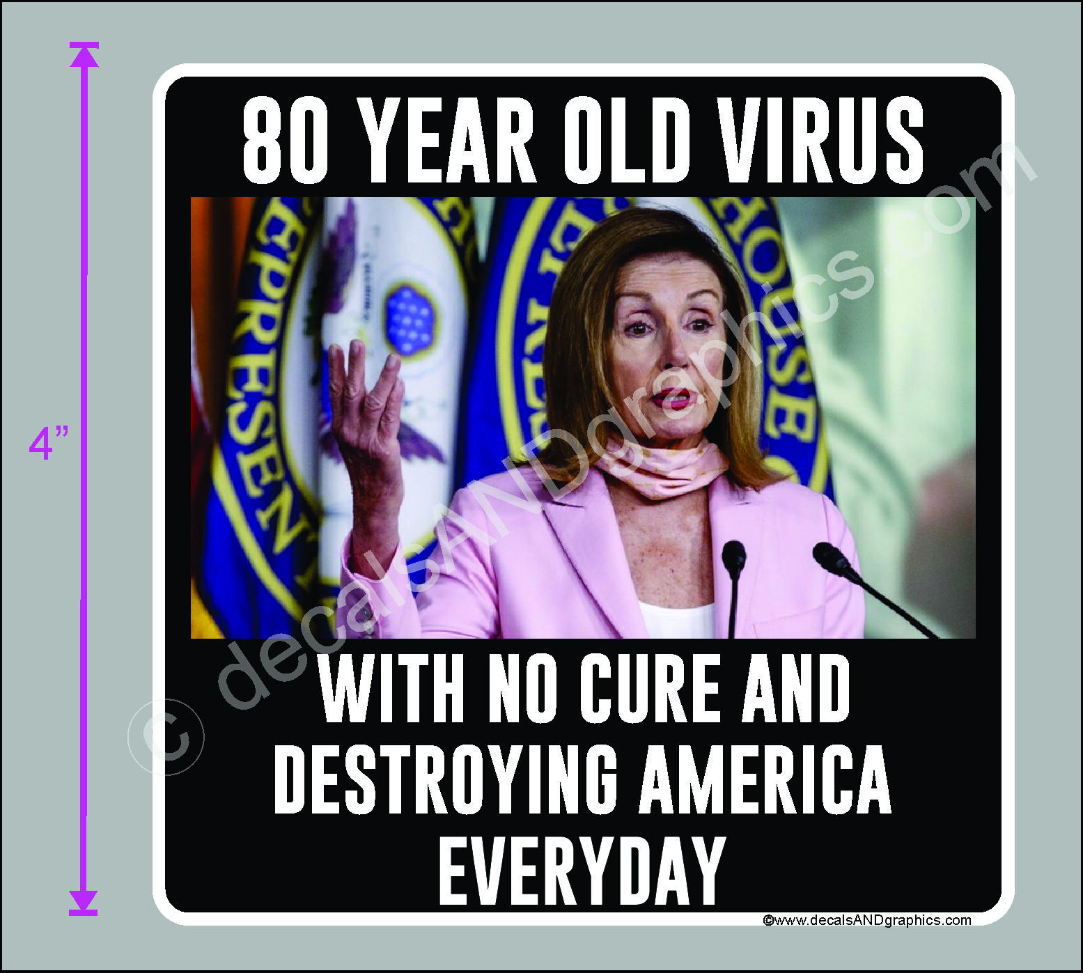 TRUMP 2020 STICKER 80 YEAR OLD VIRUS ANTI PELOSI ANTI DEMOCRAT DECAL WINDOW