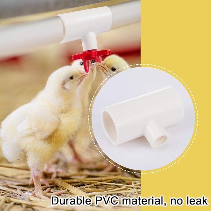 12 Pack Chicken Waterer PVC Tee Fittings - Fully Automatic for Threaded Chick...