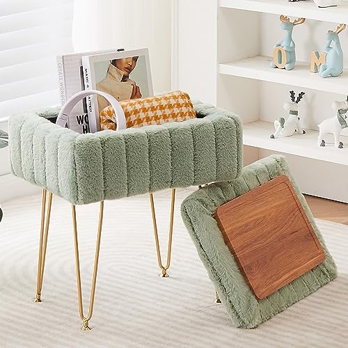 Faux Mink Fur Storage Ottoman, Modern Soft Footstool, Storage Light Green