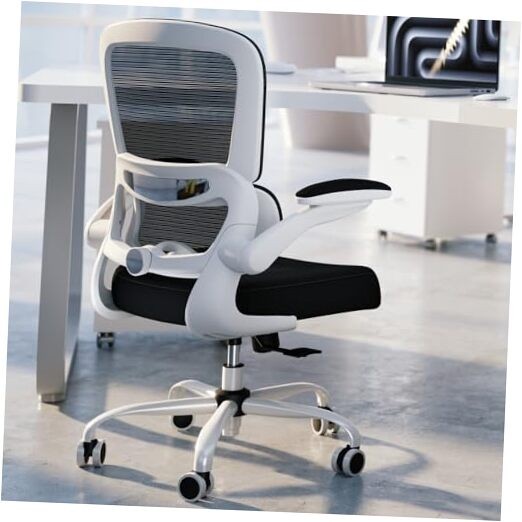 Office Chair - Ergonomic Desk Chair with Adjustable Lumbar White+black