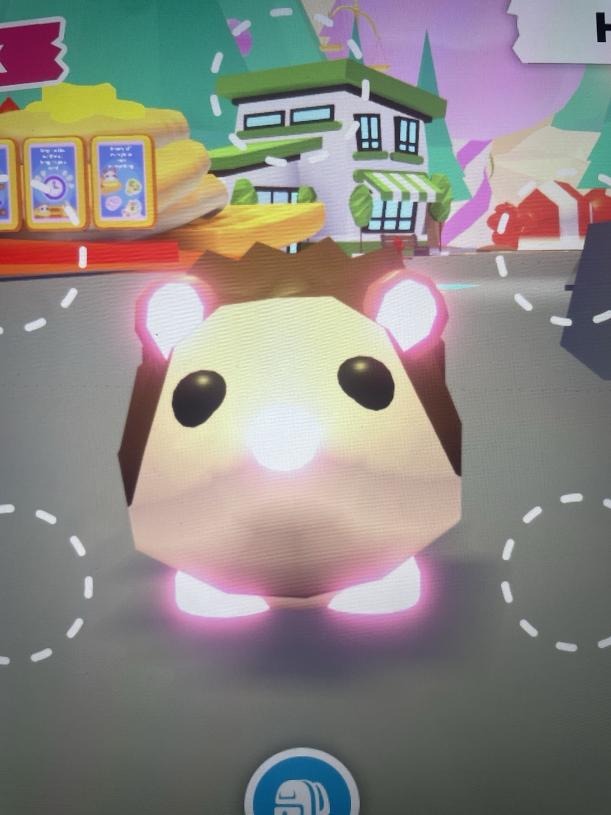 Adopt Neon Hedgehog! - Rideable (Twinkle) Adopt Me