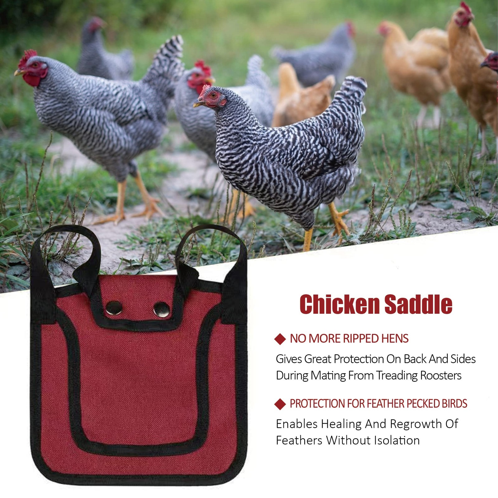 Chicken Saddles for Outdoor hens Apron Back Protector with Adjustable Strap