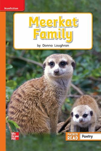 Reading Wonders Leveled Reader - GOOD
