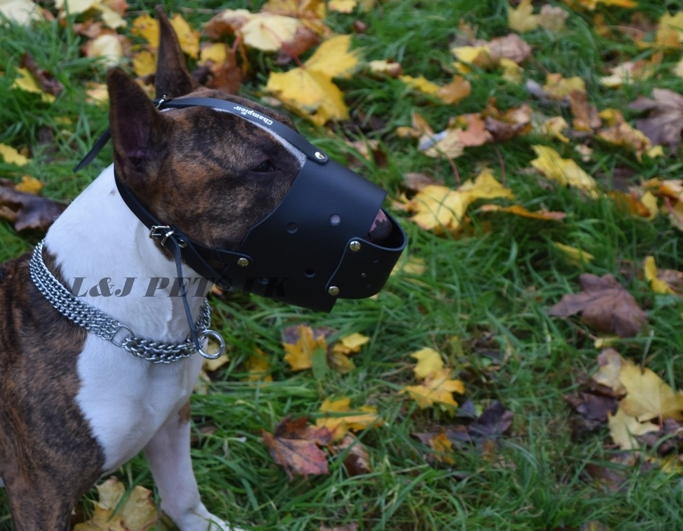 Strong  Leather Dog Muzzle for Bull Terrier and other similar snout