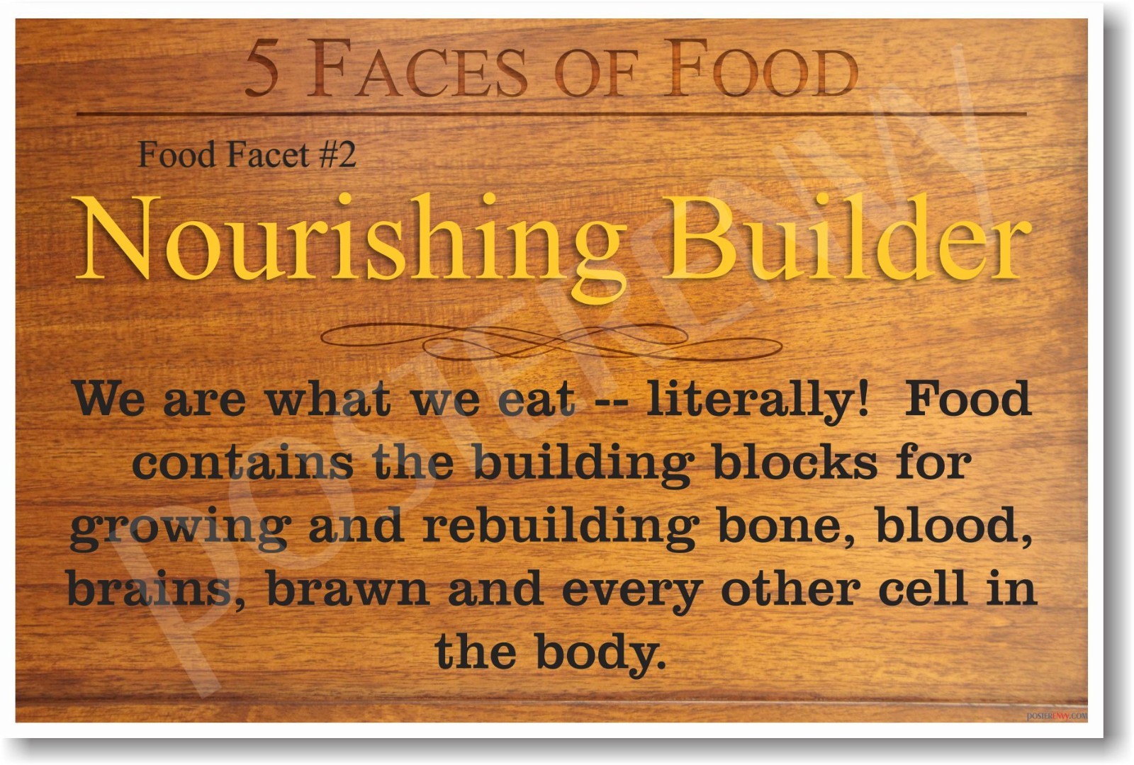 5 Faces of Food - Nourishing Builder - NEW Nutrition Healthy Foods Diet POSTER