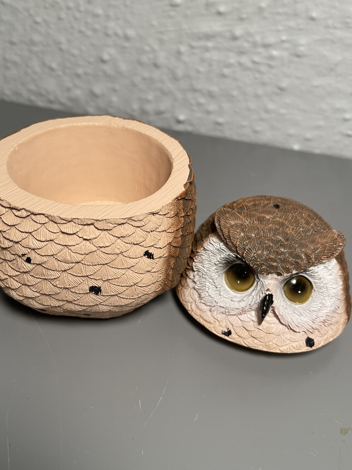 Trinket box round Owl resin Textured 3”