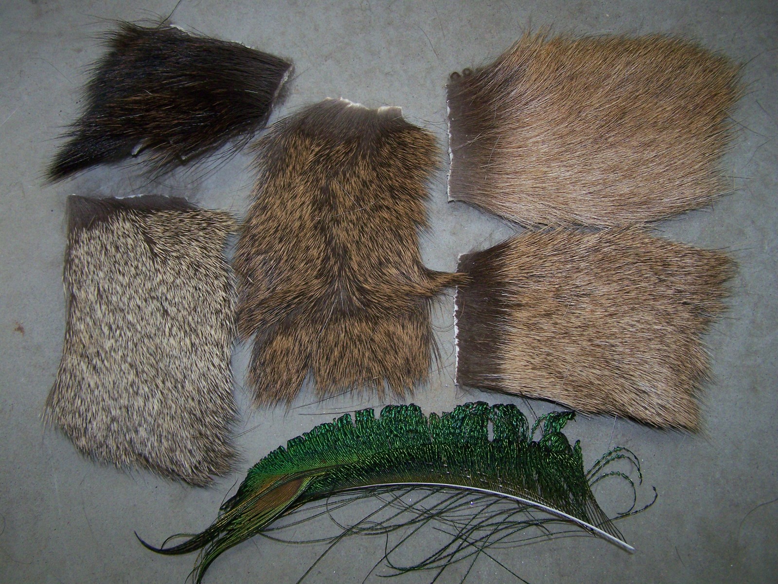 50", 6 pc.  Assortment of Natural fly tying hair, Moose, Deer, Elk & Peacock