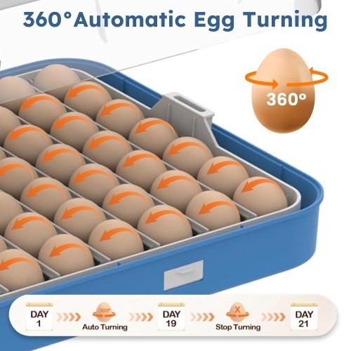 Incubator 70 egg incubators with automatic rotation and temperature control