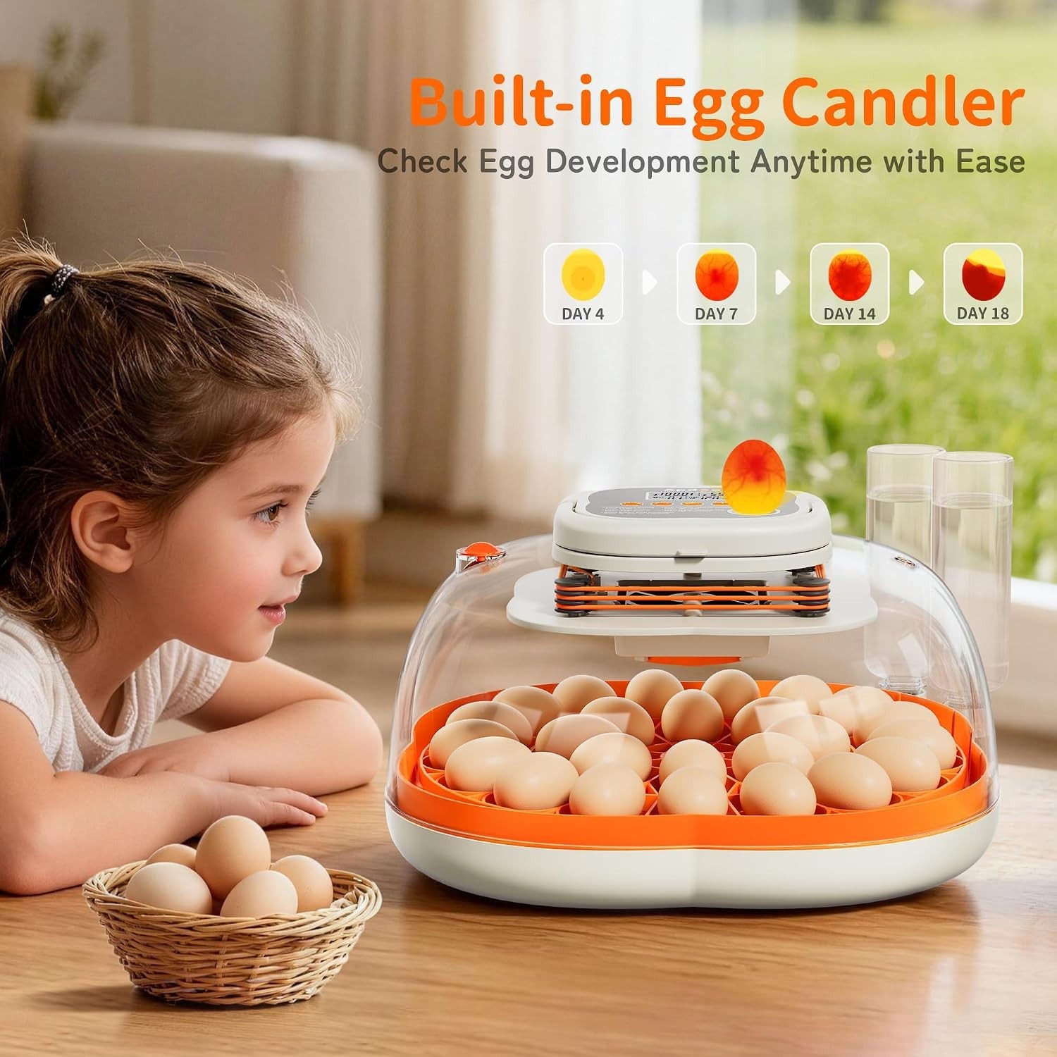 Hatching Eggs Incubator for 25 Eggs Automatic Egg Turning Temperature Control