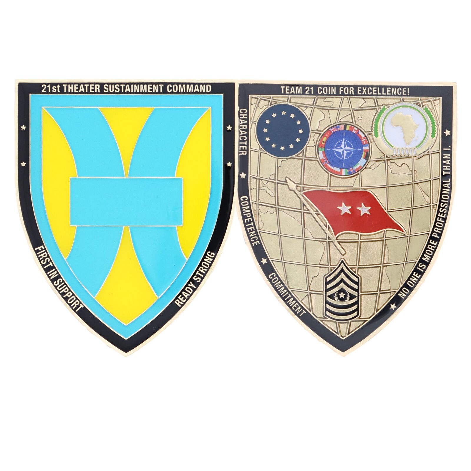22ND THEATER SUSTAINMENT COMMAND COIN