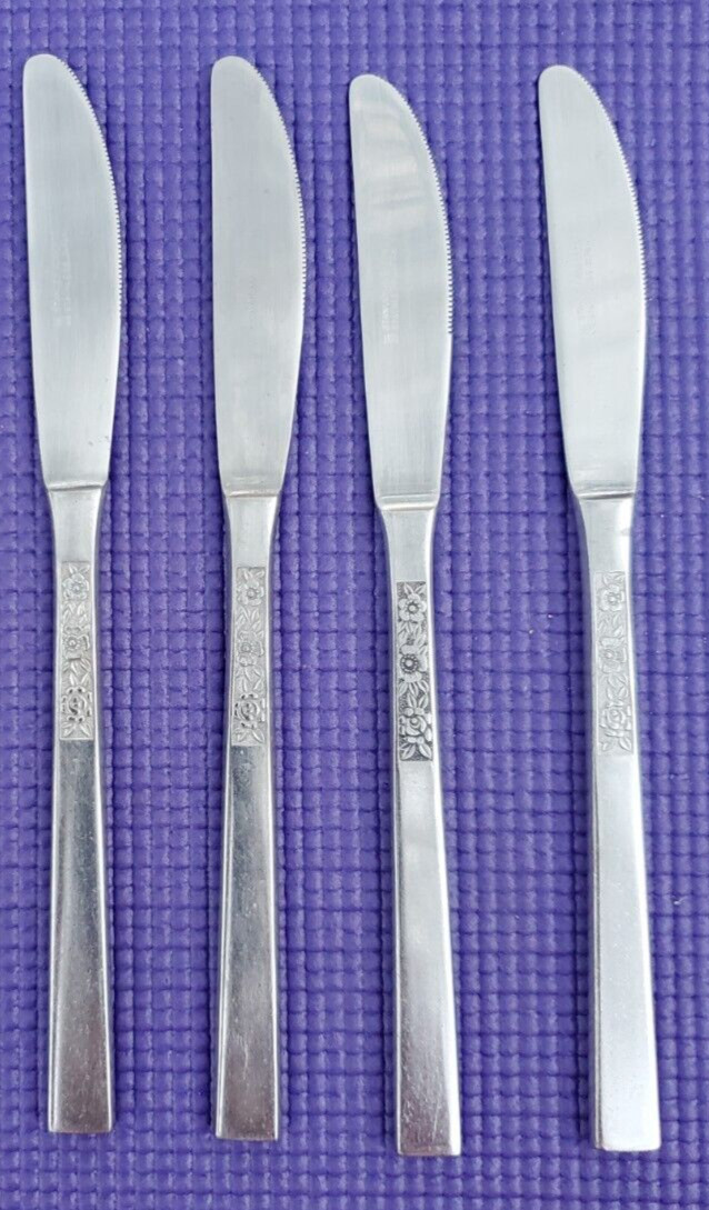 4-Stanley Roberts DORETTE Stainless DINNER KNIVES 9"