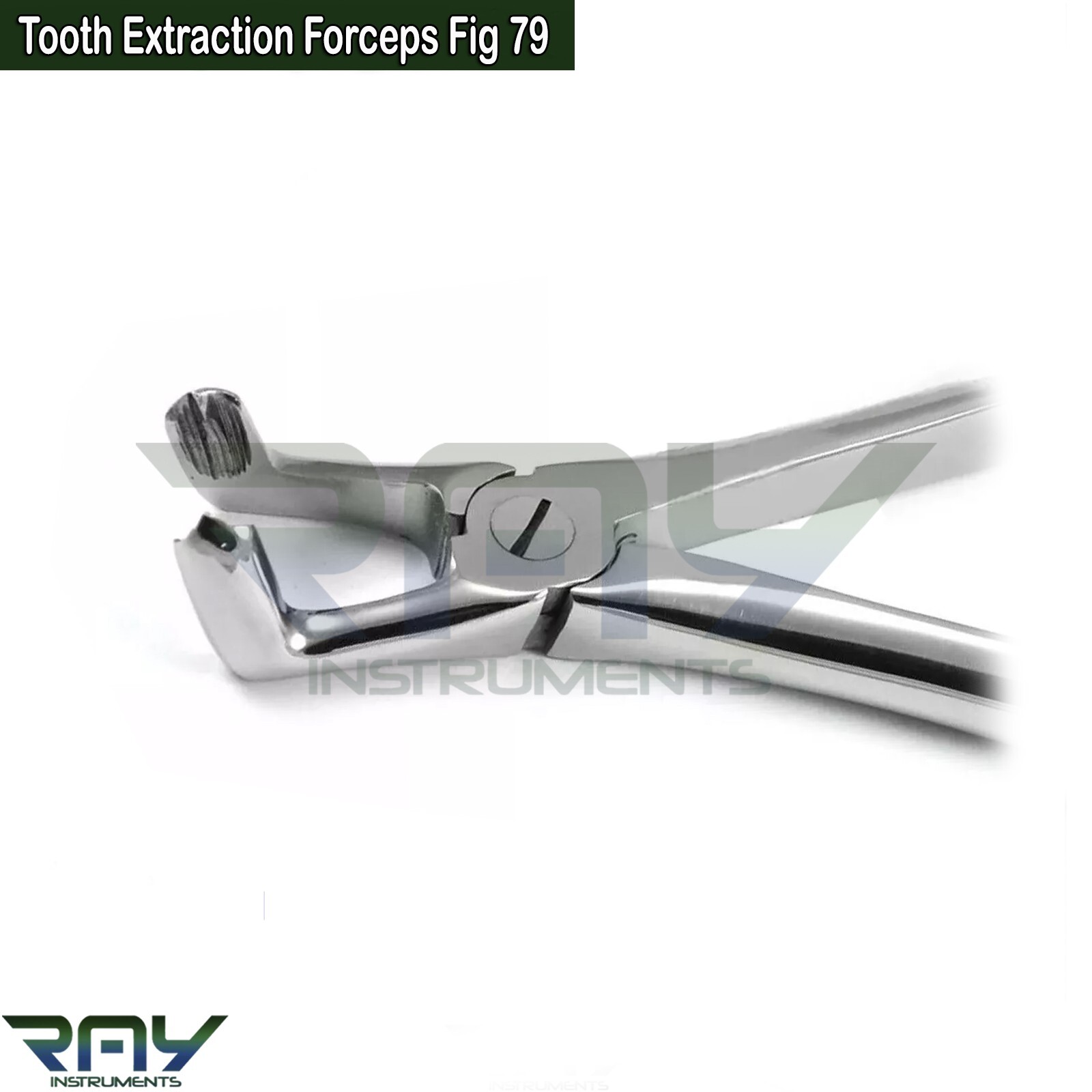 Dental Tooth Extraction Forceps Fig.79 Lower Molar Wisdom Teeth Extracting Plier