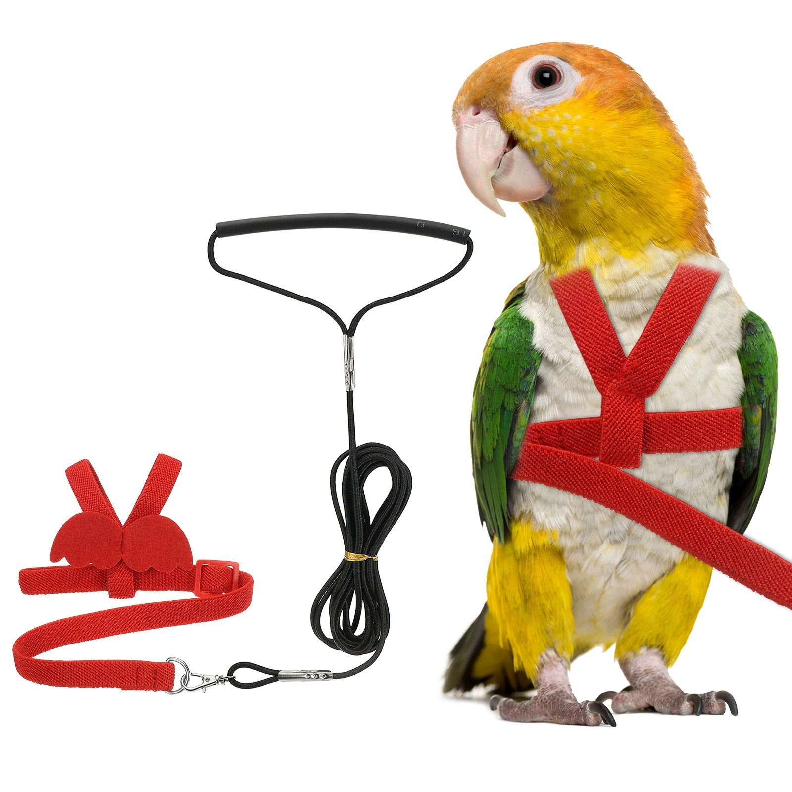 Bird Harness Leash, Pet Parrot Bird Harness and Leash with Cute Wing (Red, S)