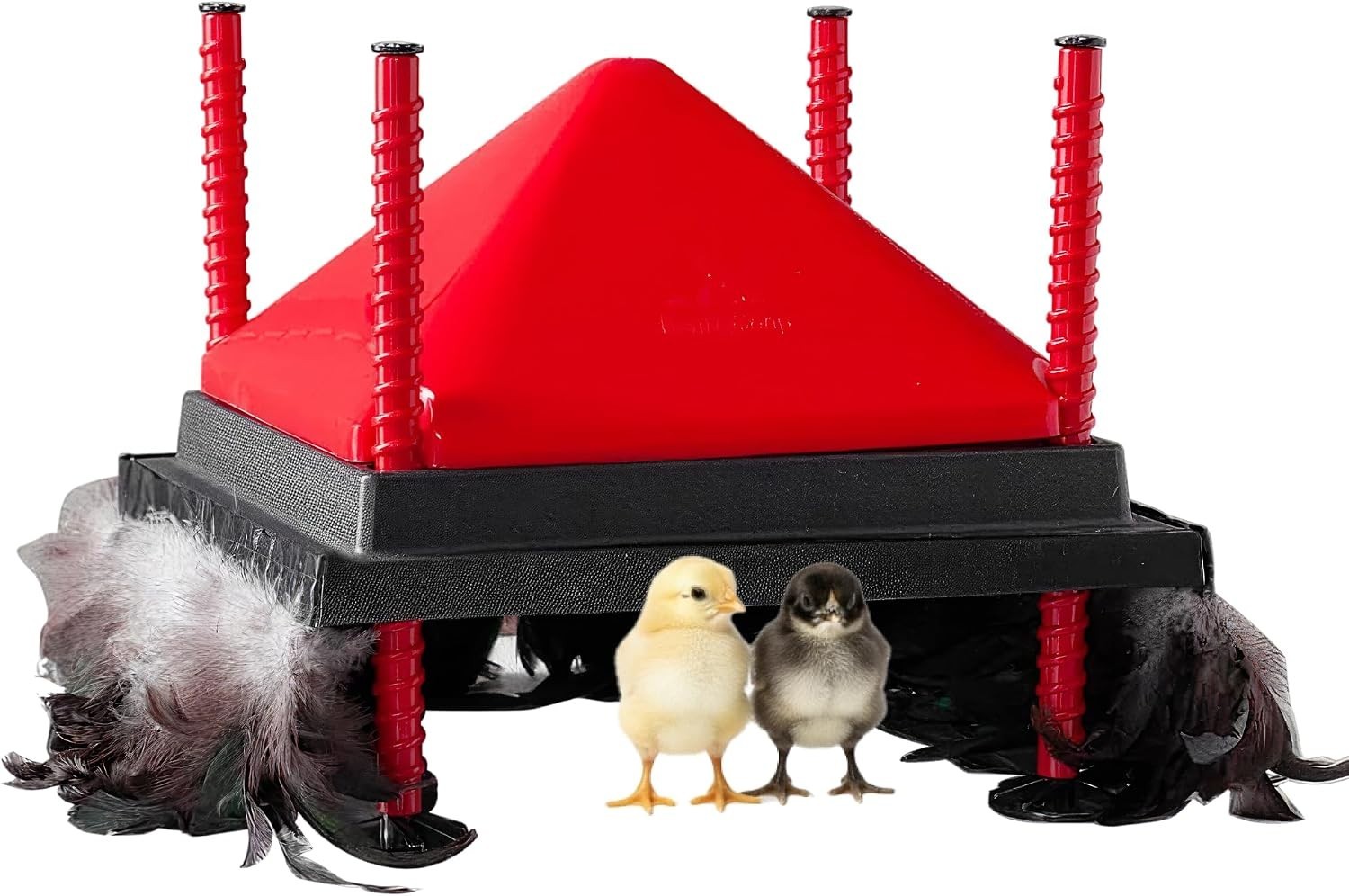 Innovative 12x12” Heating Plate for Chicks - Adjustable and Economical Solution
