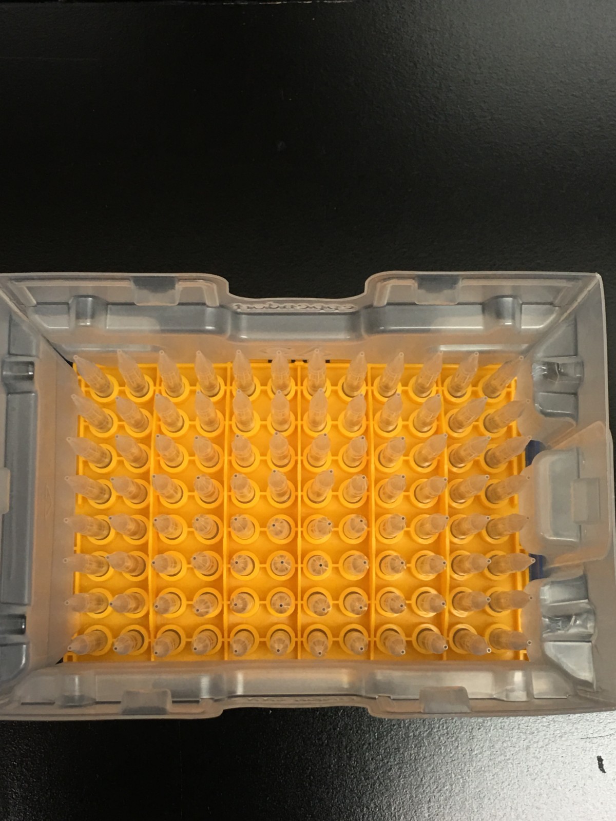 Eppendorf 300uL epTIPS Pipette Tips