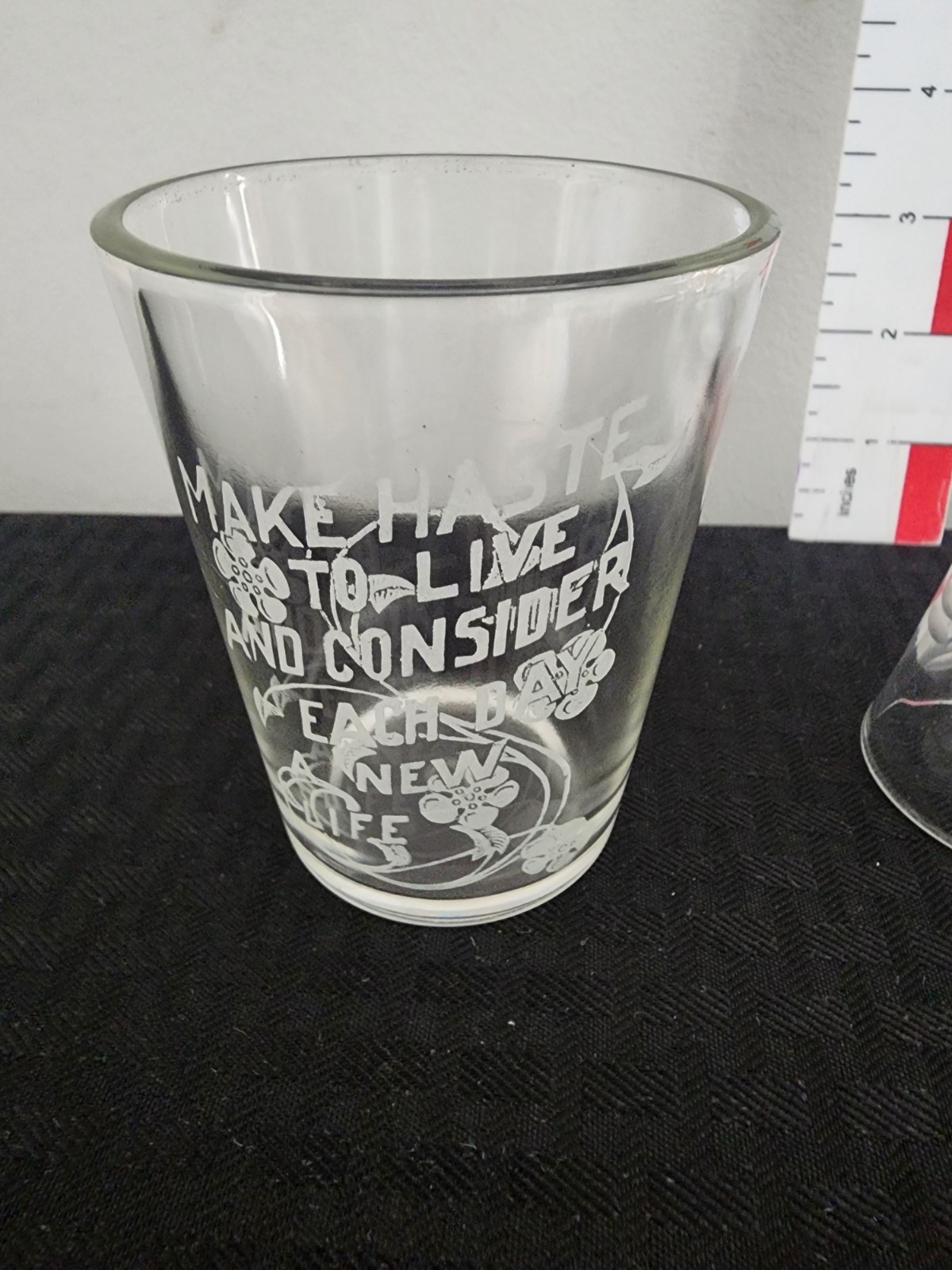 Vintage Etched Drinking Glass & Shot Glass Set – "Make Haste to Live" Quote – Sh