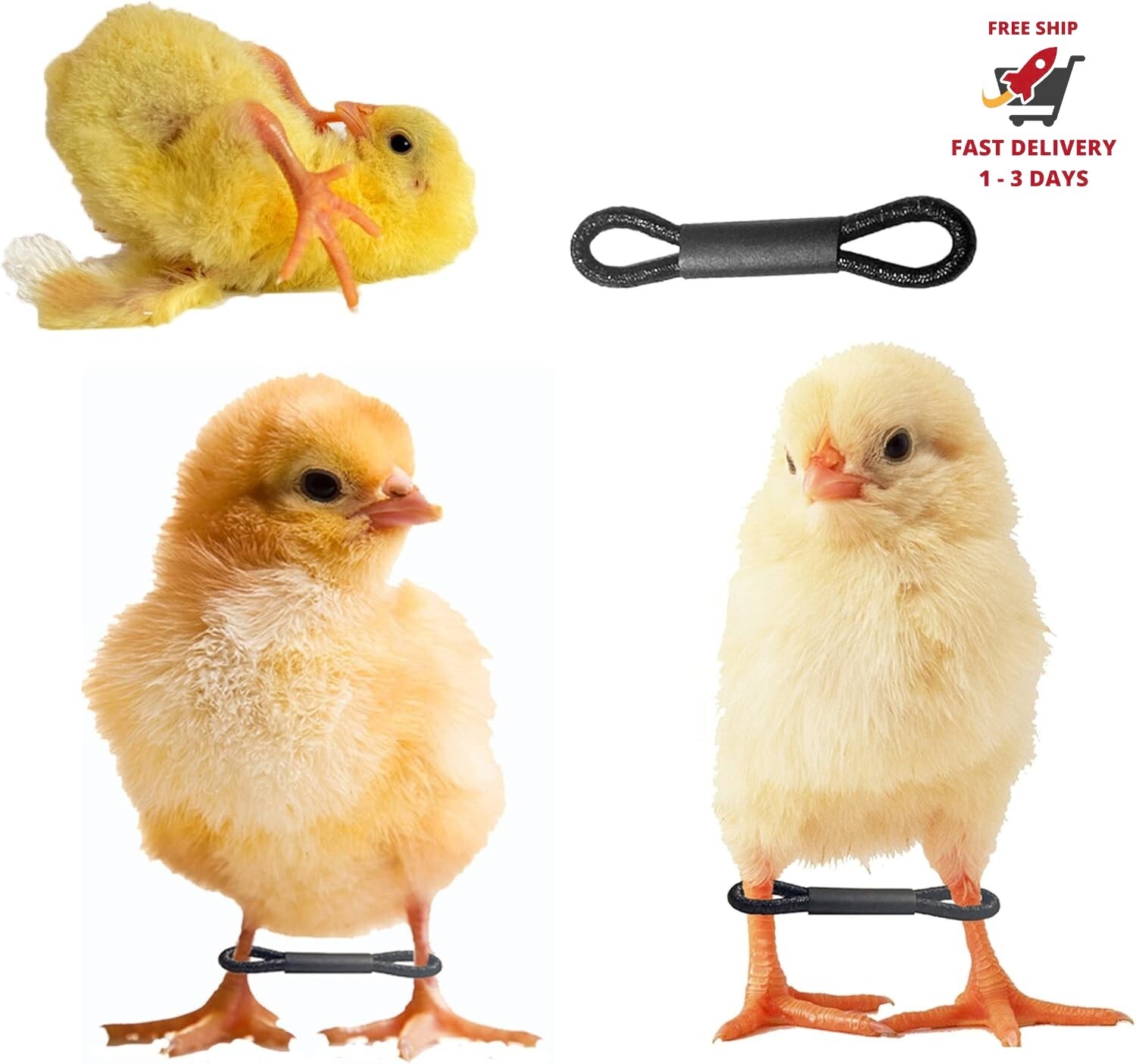 100 piezas de soporte para patas de pollo bebé, bandas ajustables para patas