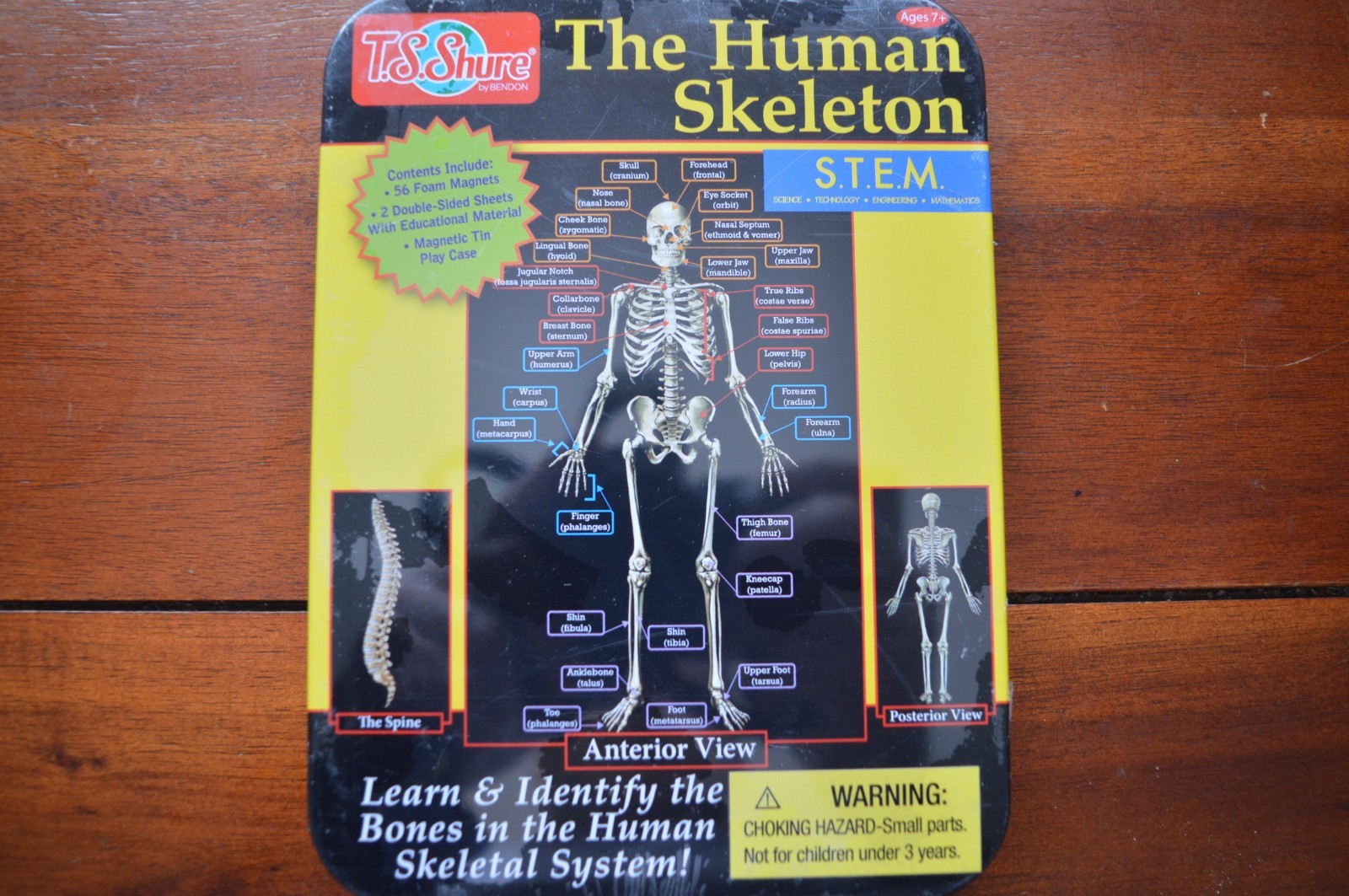 STEM Kit / T.S. Shure The Human Skeleton Magnetic Learning NEW SEALED