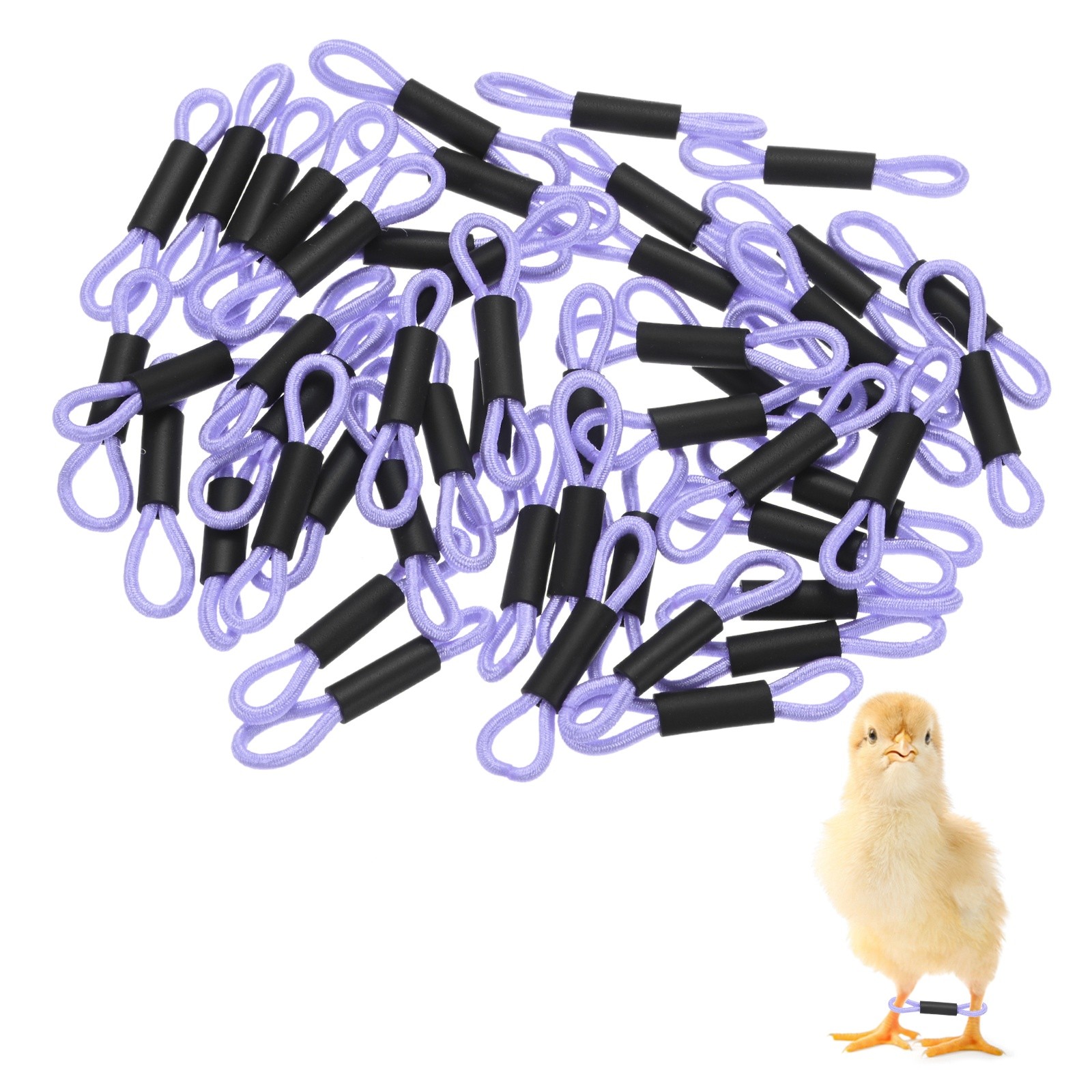 50-Pack Polyester Chick Leg Bands for Poultry/Chicks/Birds [Light Purple]