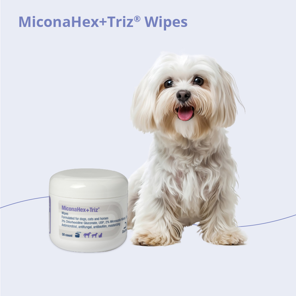 MiconaHex+Triz Wipes, 2.25" round, 50 count jar