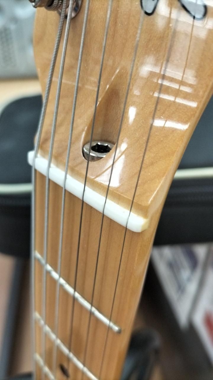 TOKAI Guitar ATE-101BF Used