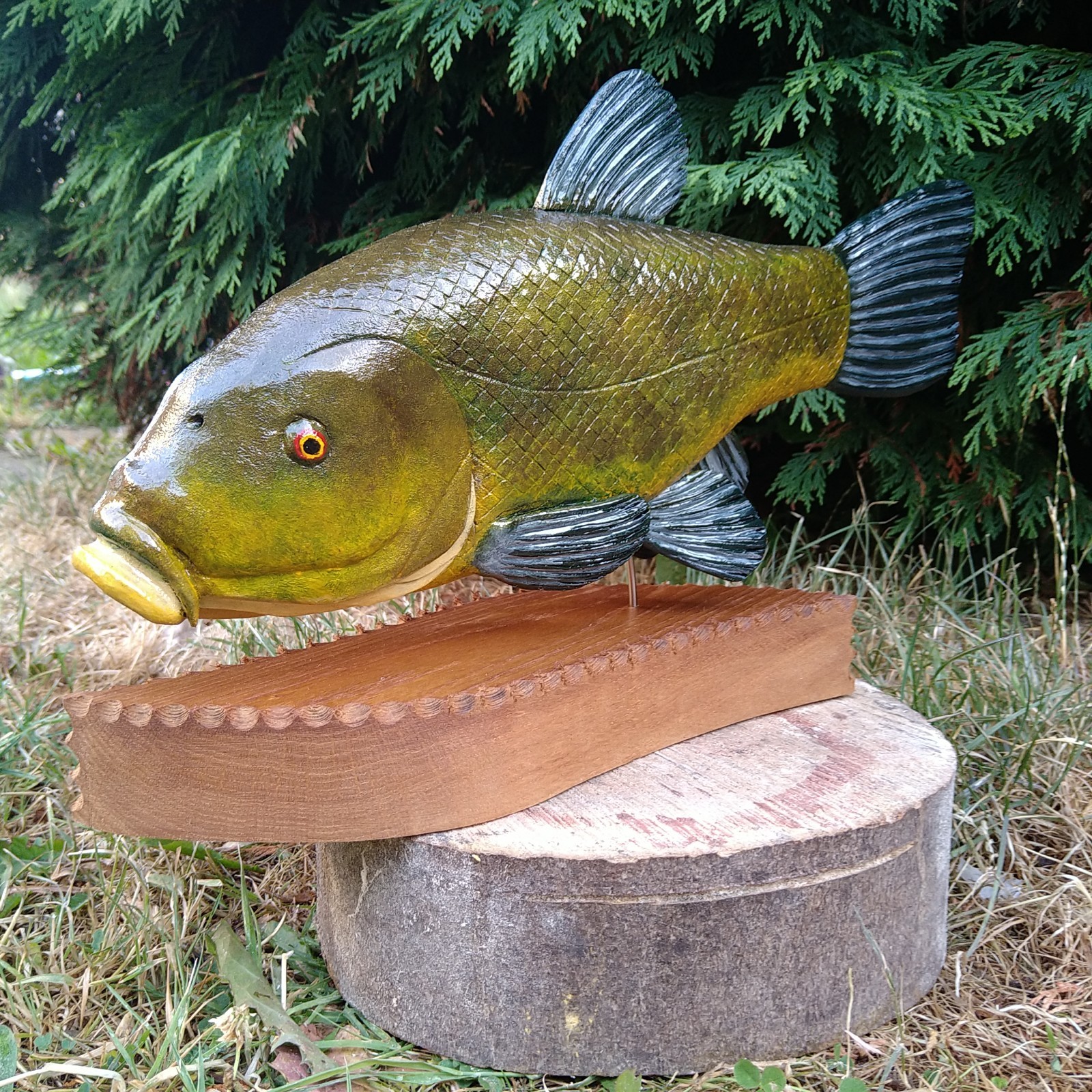Tench Fishing , fish