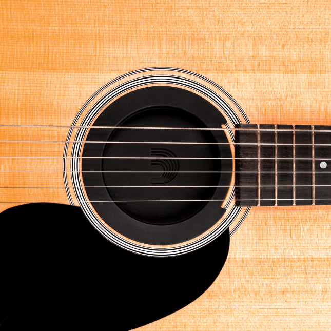 Planet Waves Screeching Halt Feedback Suppressor soundhole plug