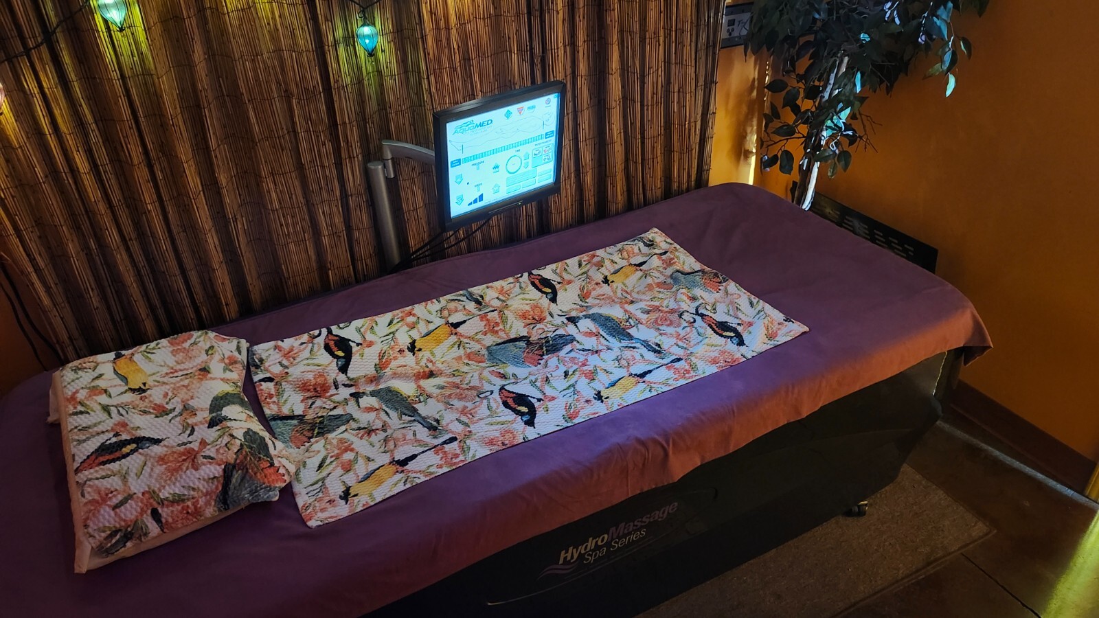 Hydro Massage bed (water pressure) - GREAT FOR SPA - great condition