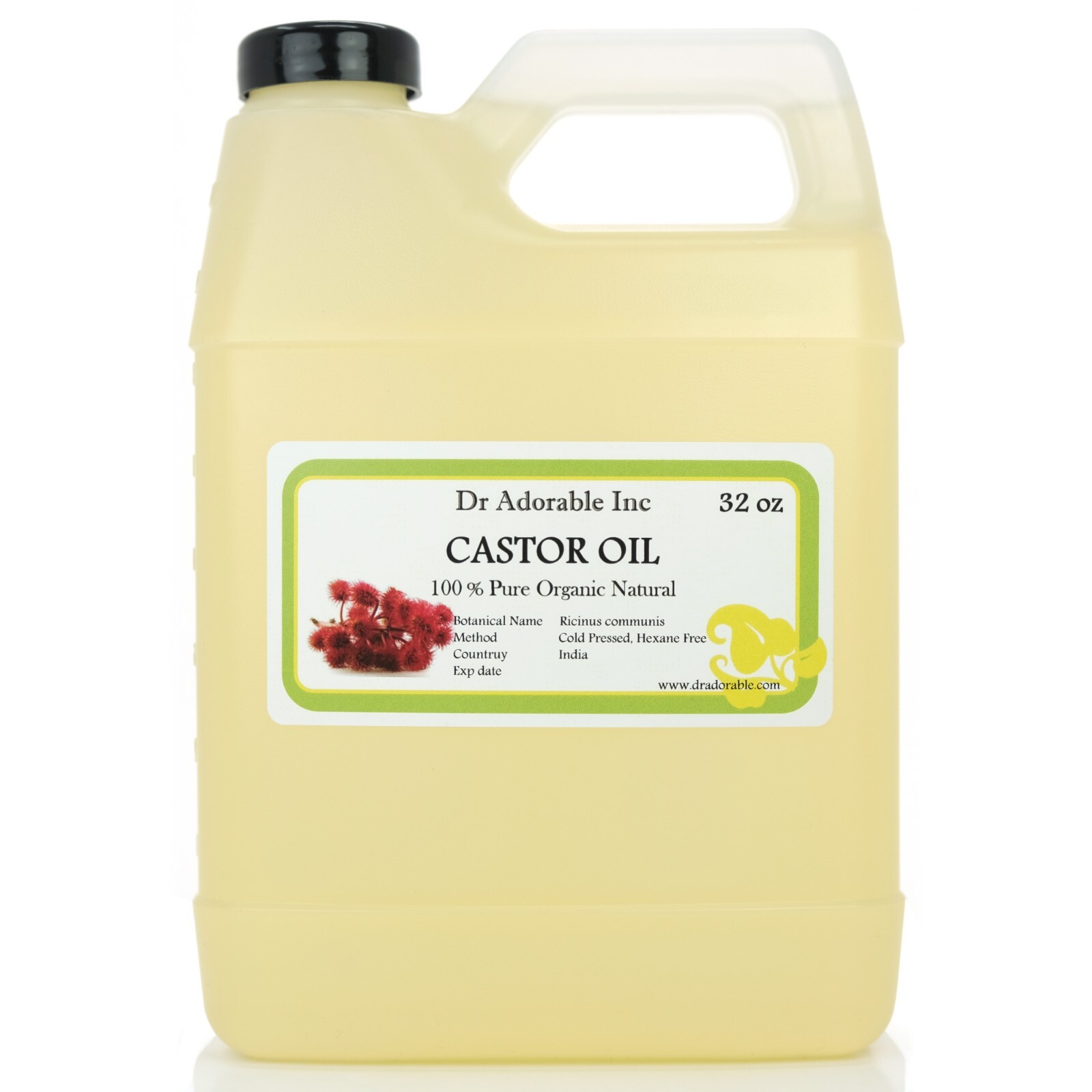 CASTOR OIL PURE ALL NATURAL CARRIER OIL  2 4 8 1216 32 24 48 64 1 GALLON Free SH