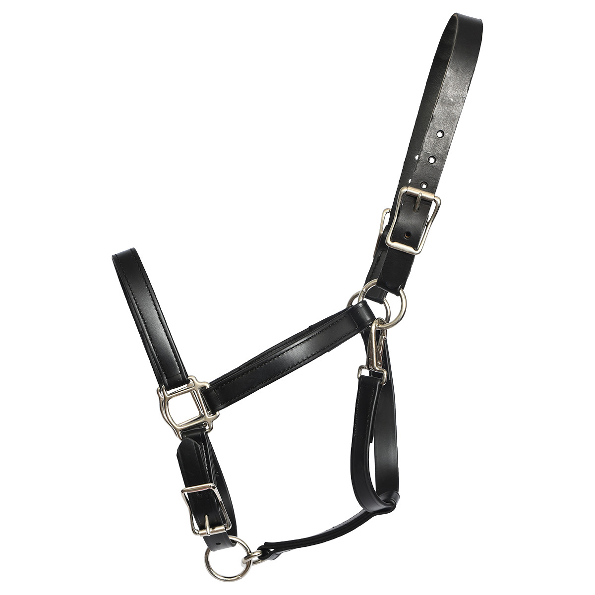 HORSE SIZE- READY MADE - Black TURNOUT HALTER and LEAD Made from BETA BIOTHANE
