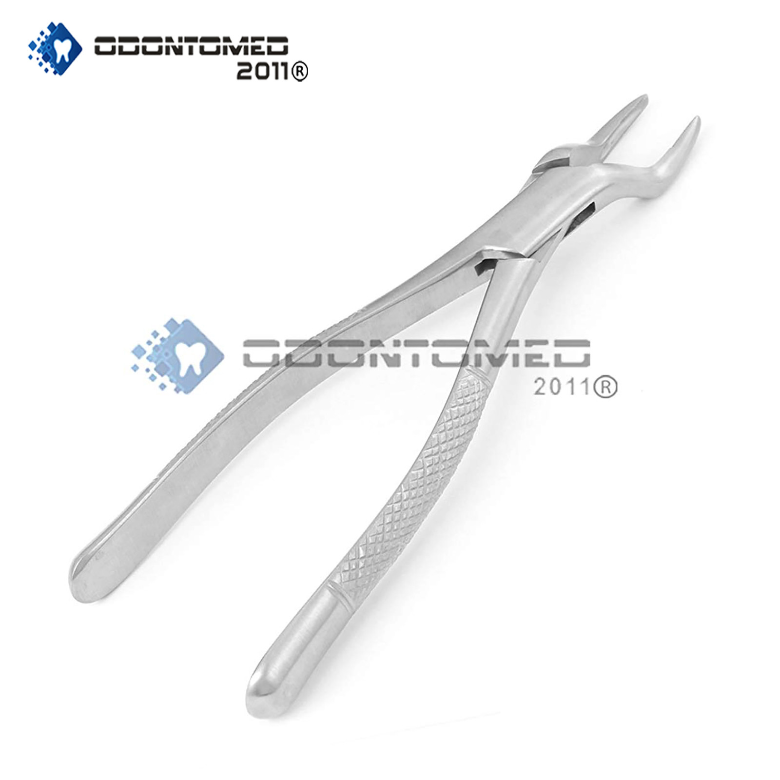 Extraction Forceps Dental Oral Surgery Instruments #65 A+ Quality