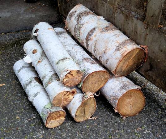 6 White Birch Log Set for Fireplace Decor 16” Length 2”-4” Diameter Rustic