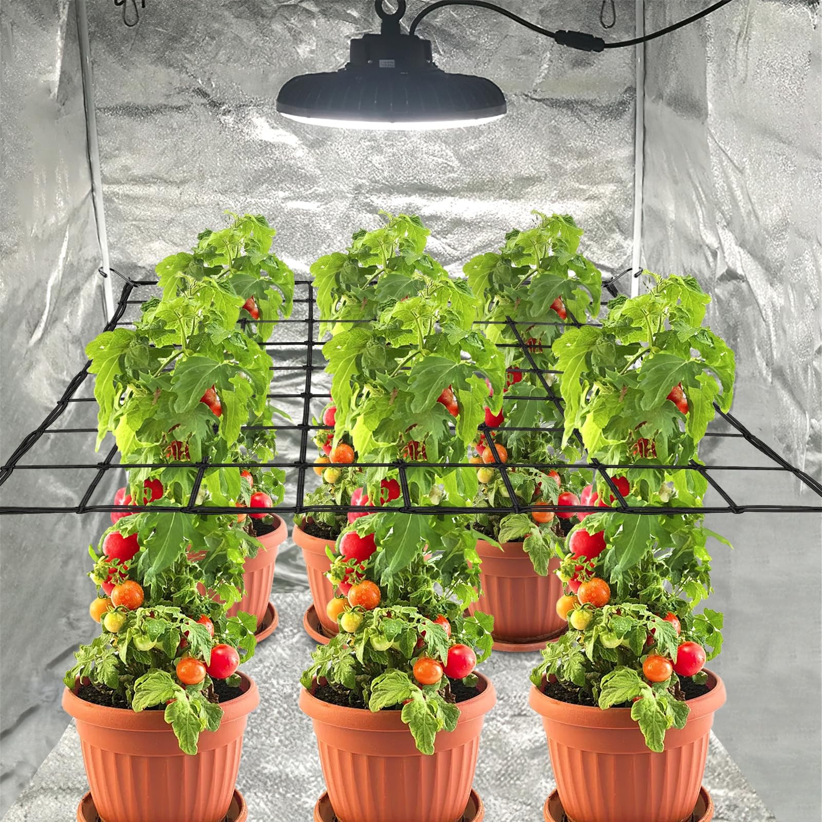 Trellis Netting, Scrog Net with 4 Hooks, 4x4 Nets for Grow 4×4ft-1pcs