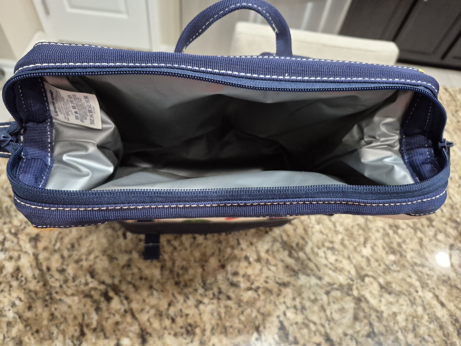 Lands' End Insulated Cooler Backpack Fruit Design