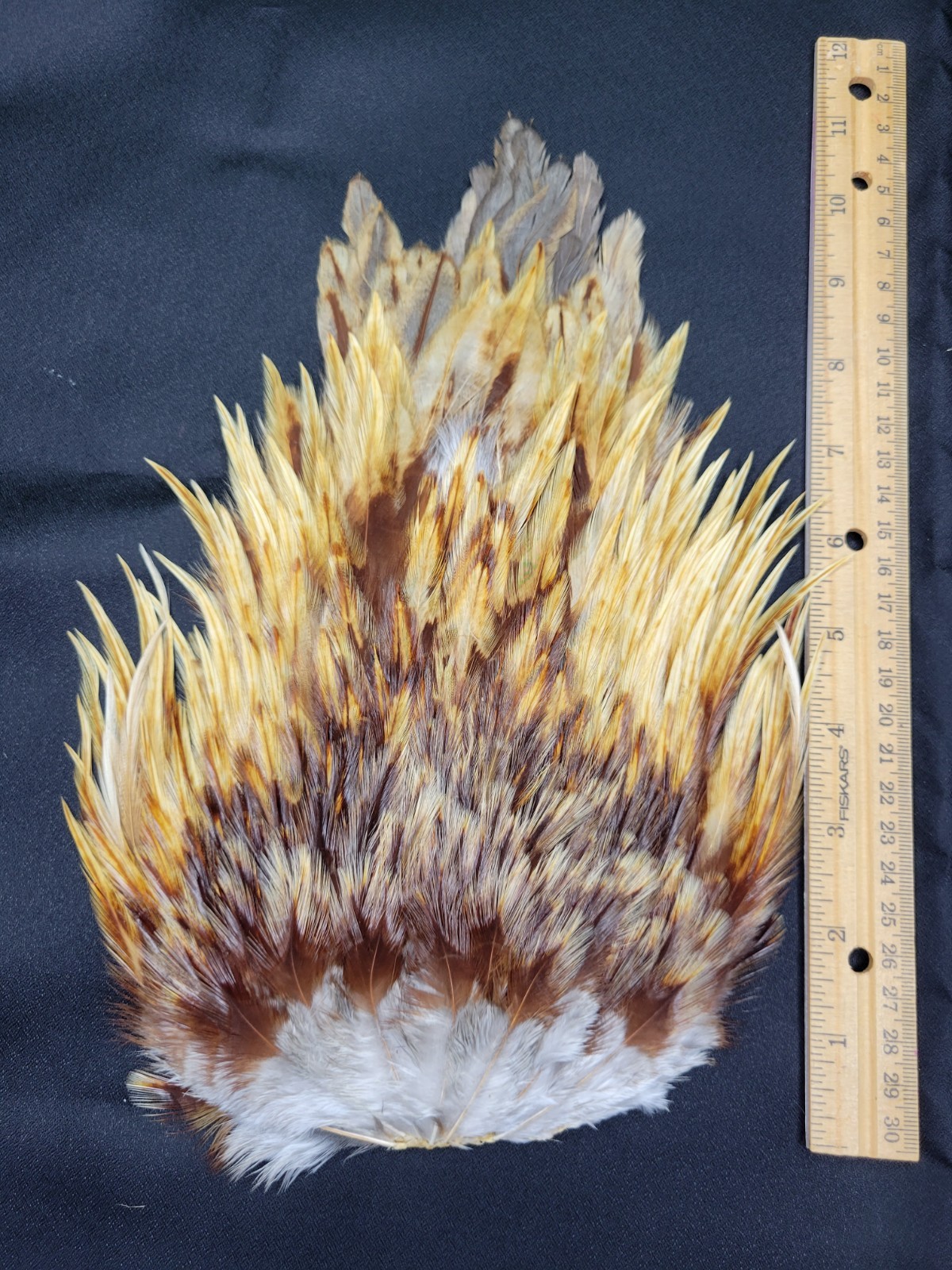 Lot  32,  Grade A,   Natural India Rooster Saddle Feathers for Fly Tying Jewelry