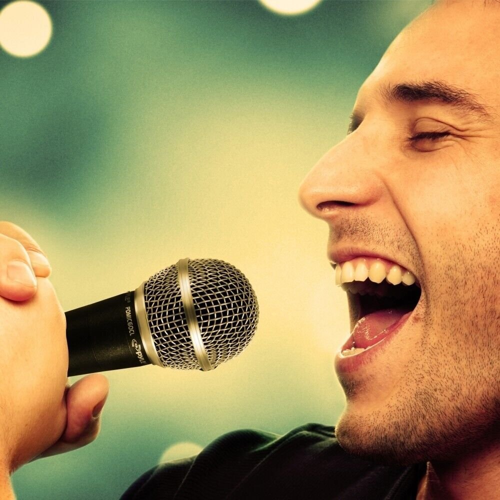 Pyle Professional Dynamic Microphone, Unidirectional Handheld Mic PDMIC59