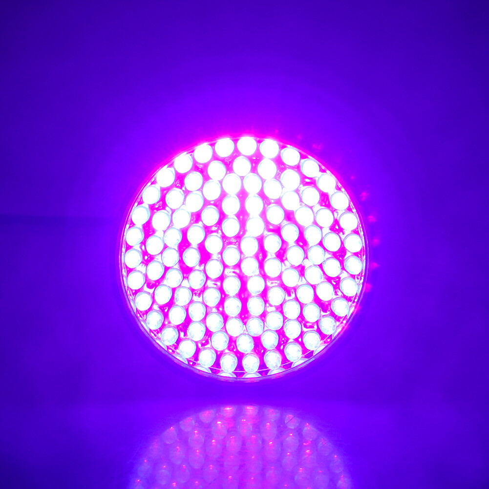 100 LED UV Flashlight Ultraviolet Blacklight Detector Handheld Torch Light 395nm