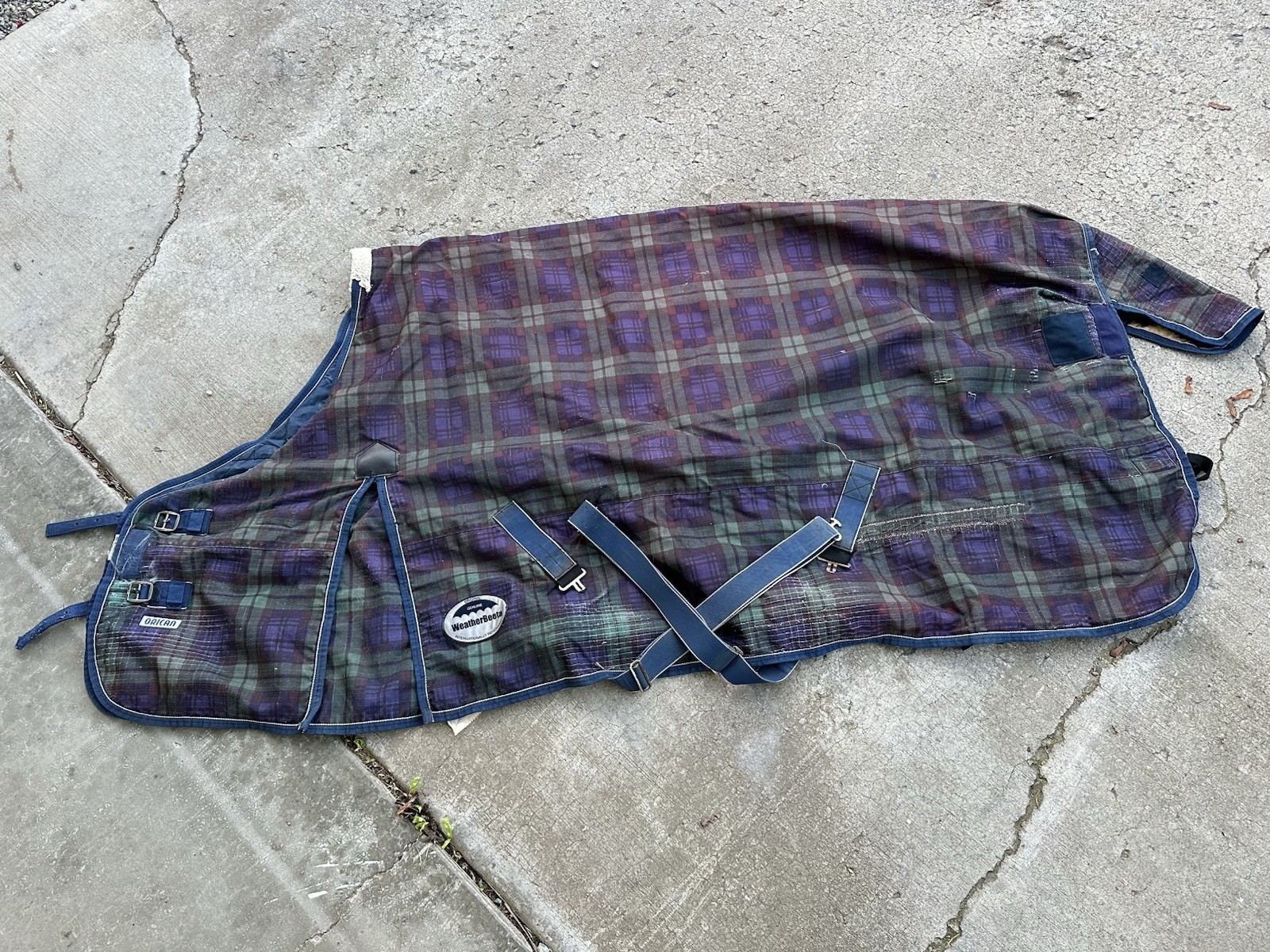Horse Tack - 75” Weatherbeeta Orican Waterproof Lightweight Blanket