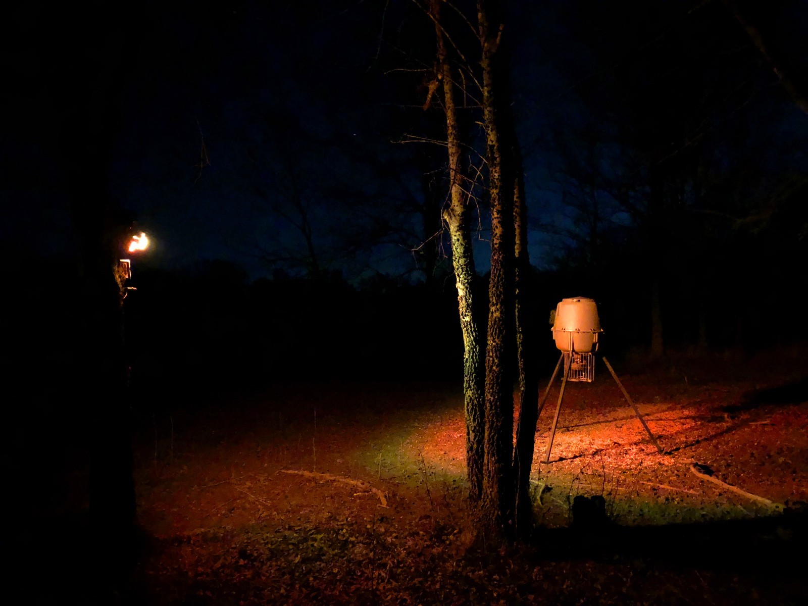Harvest Time FEEDER LIGHT! Solar, Motion Activated, AmberGlow Hog Light - HUNTER