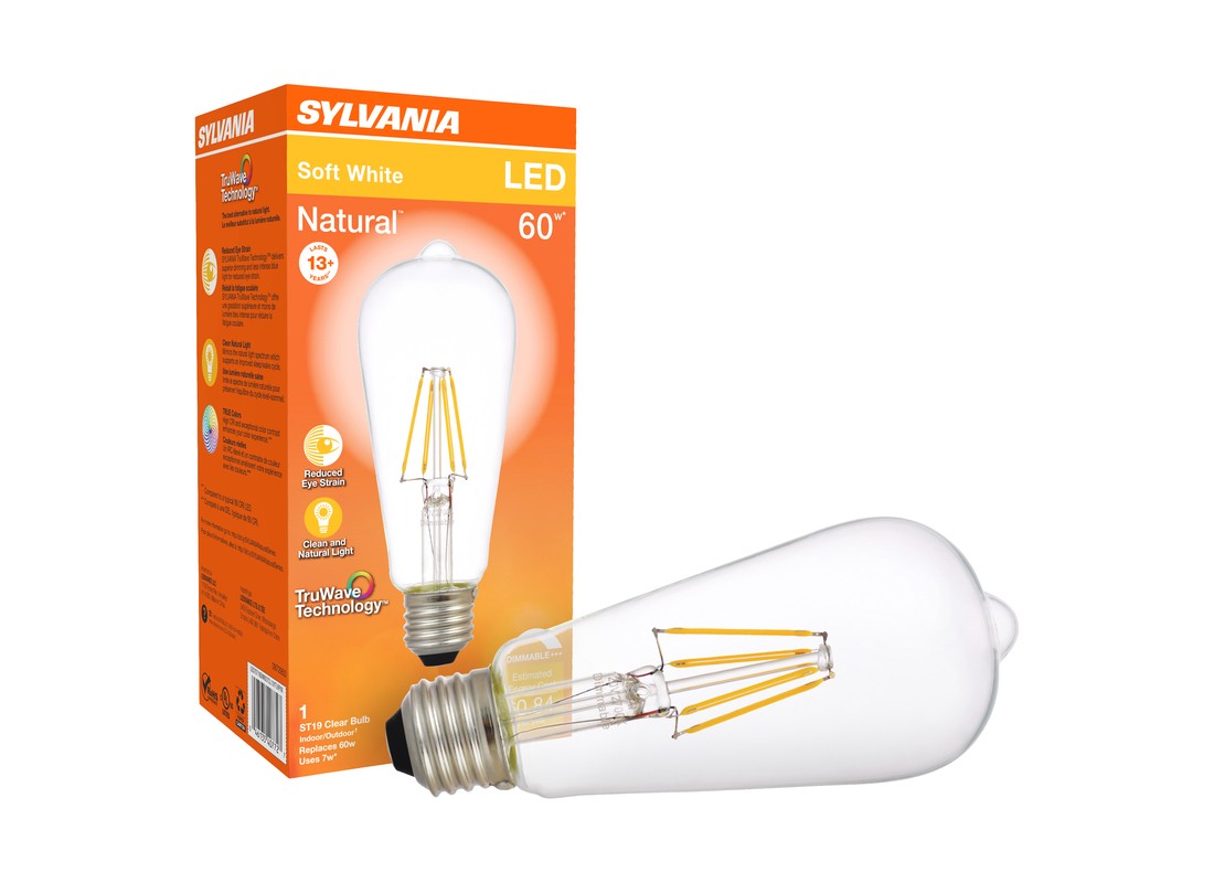 Natural LED Bulb, Decorative, ST19 Lamp, 60 W Equivalent, E26 Lamp Base, Dimmabl