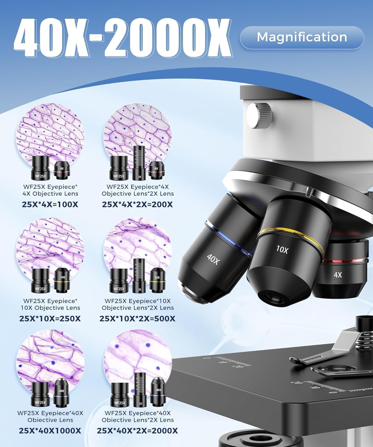 Compound Microscope for Adults & Students - 100X-2000X High-Power Biological ...