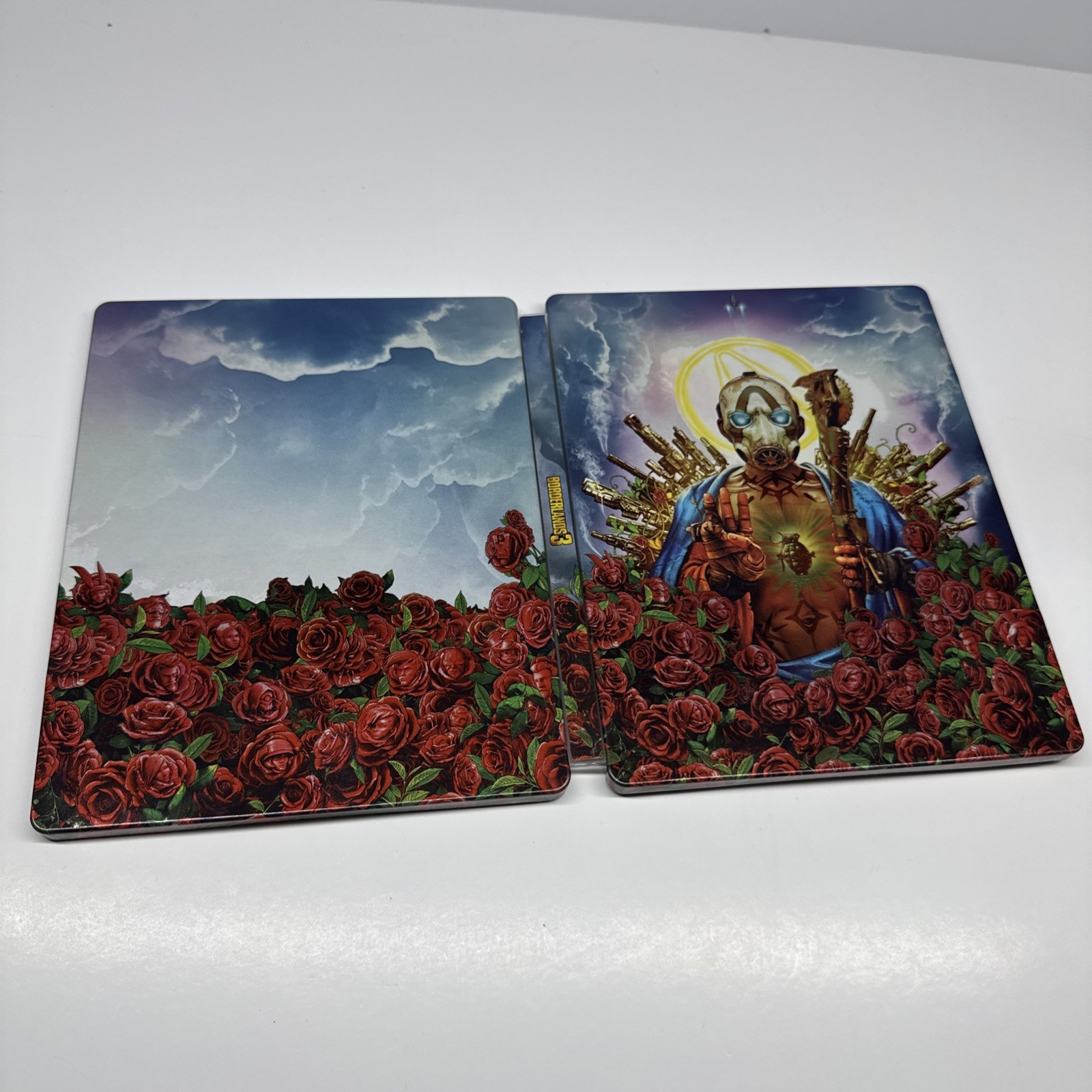 Borderlands 3 Steelbook (No Game)