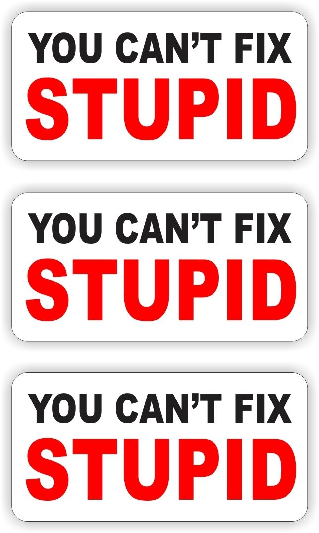 3 Funny You Cant Fix Stupid Hard Hat Stickers | Safety Helmet Decals Labels